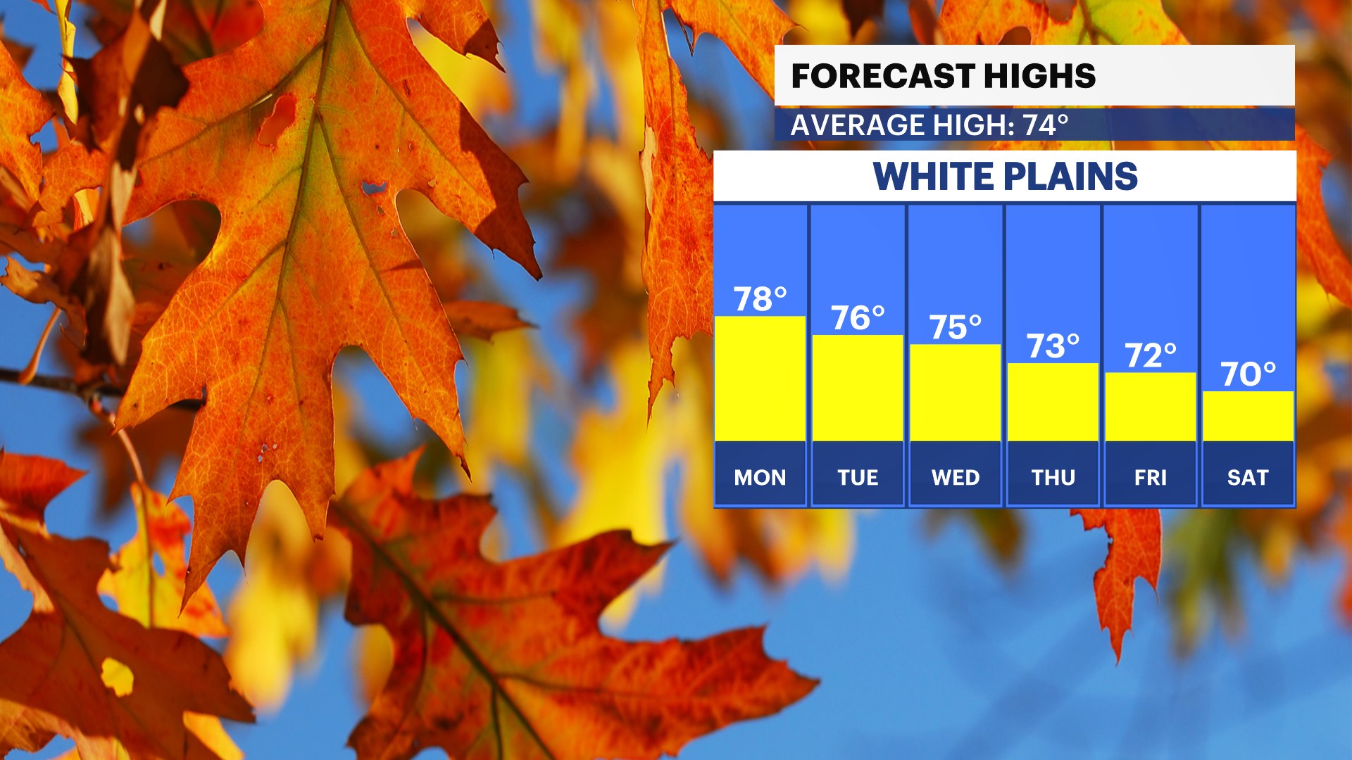 WCHV Sun 09152024 Daily Temp Trend.png