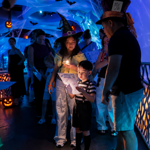 Halloween Festival at Terra