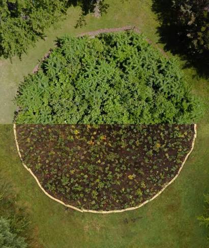 Nature-Based Solutions