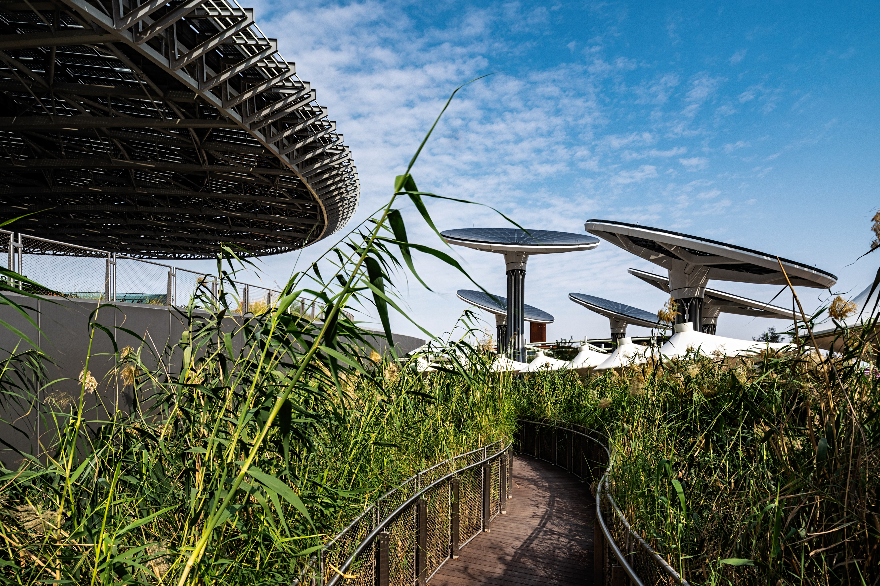 Rewilding the Mind: Nature Therapy as a Public Health Imperative in Urban Dubai