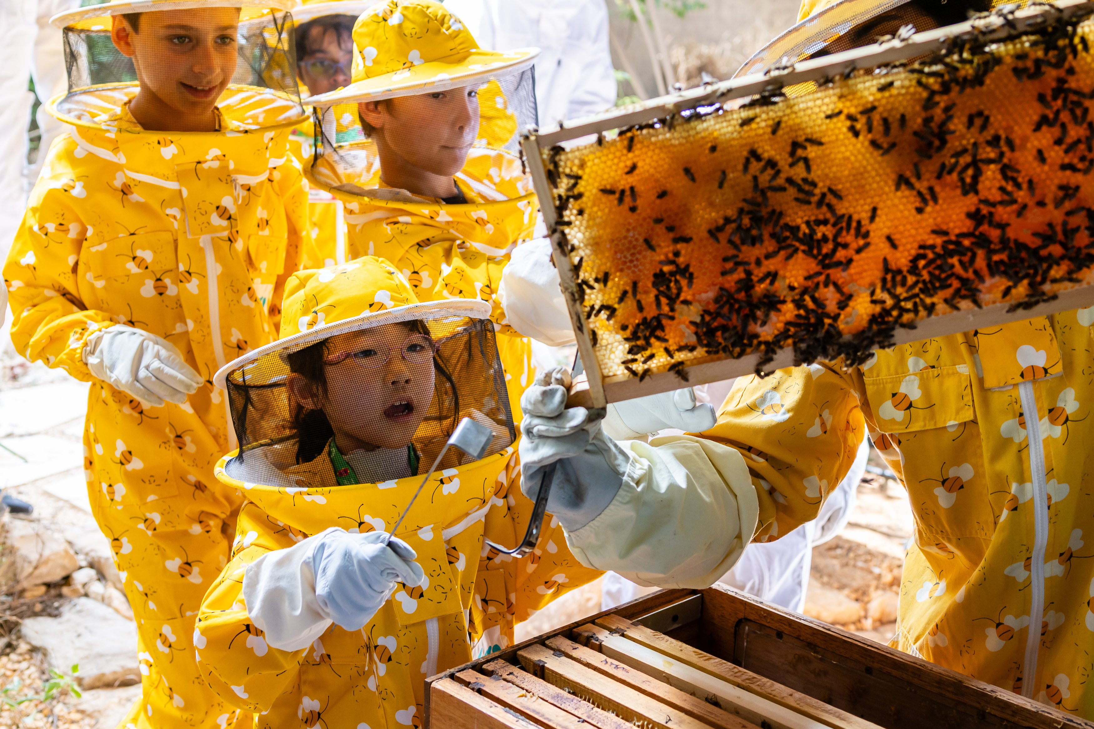 Bee Scientist Workshop