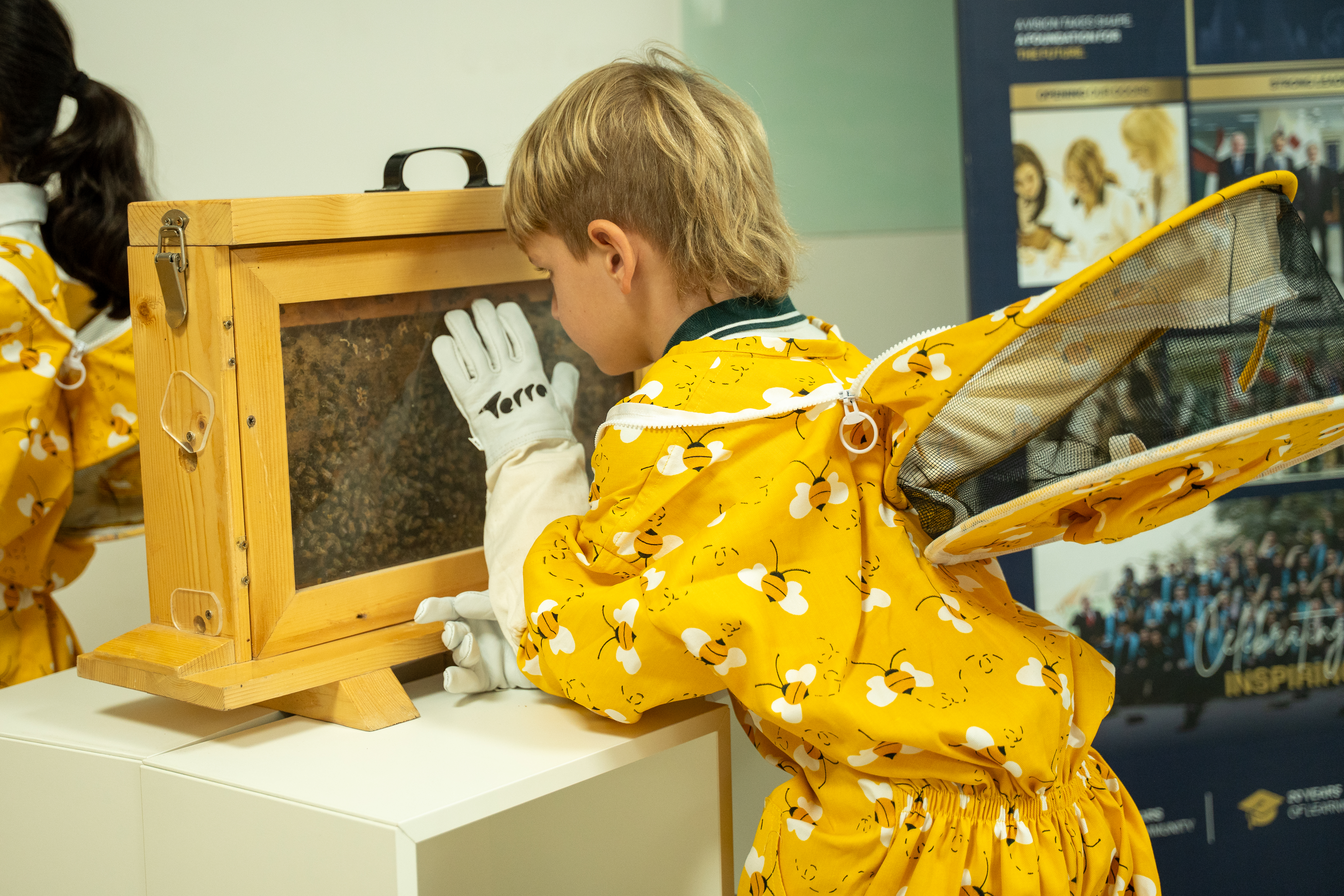 The Story of the Terra Bees