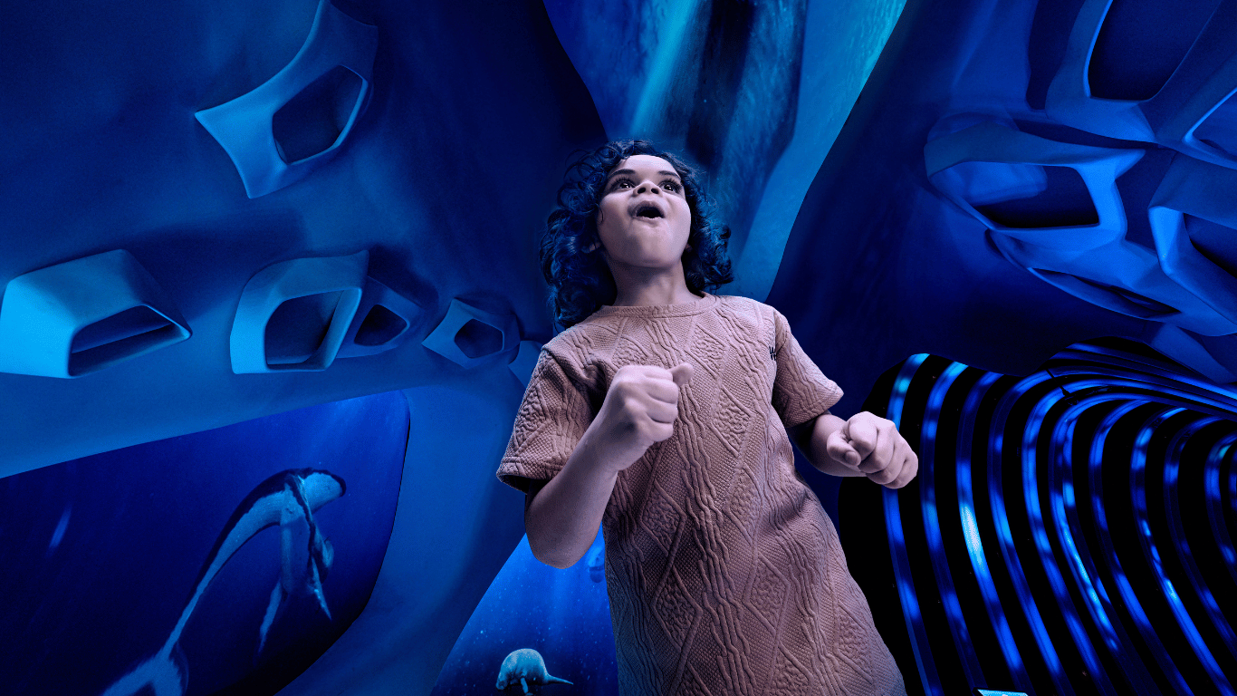 Ocean Quest Header
