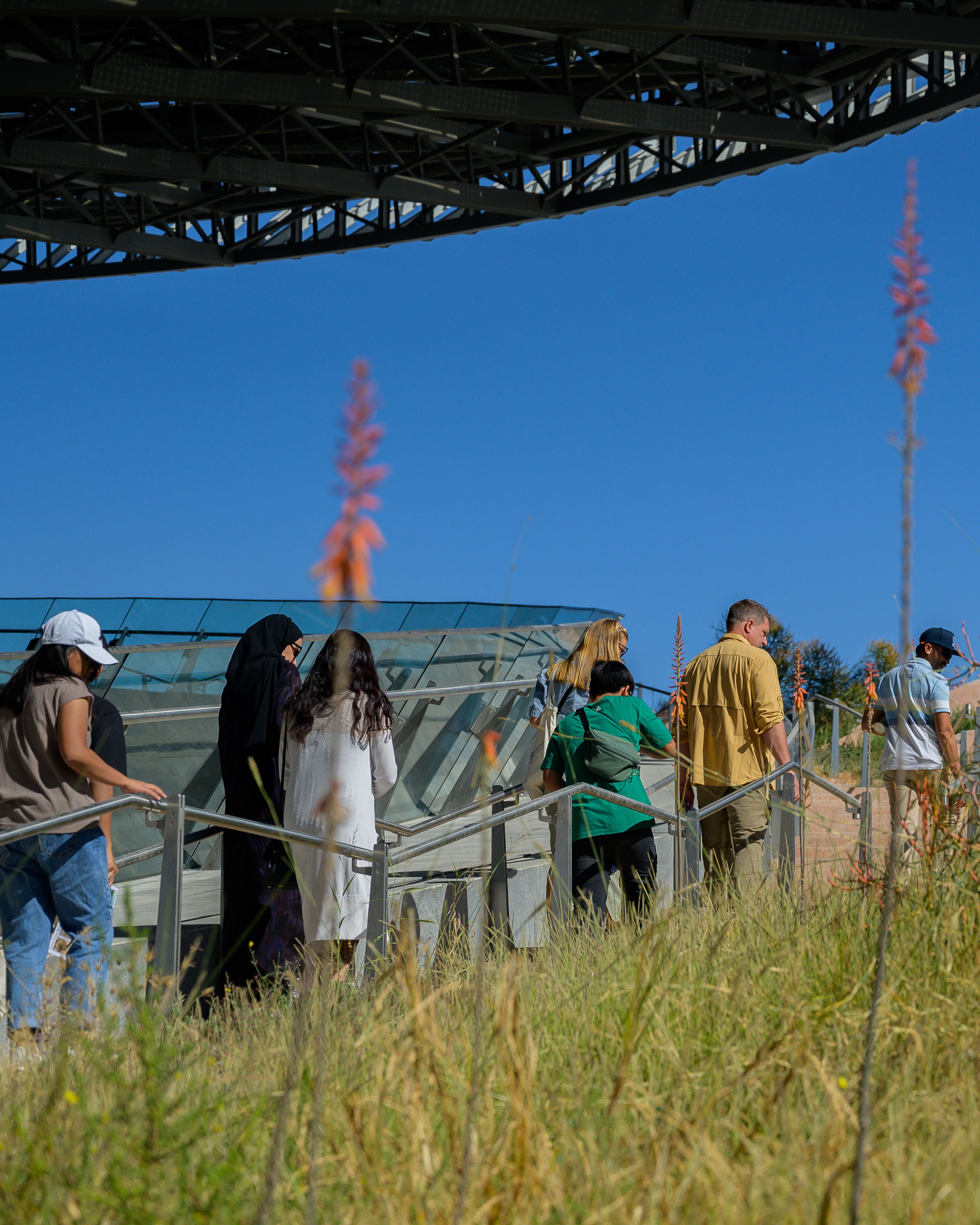 Nature & Wonder: City Nature Challenge