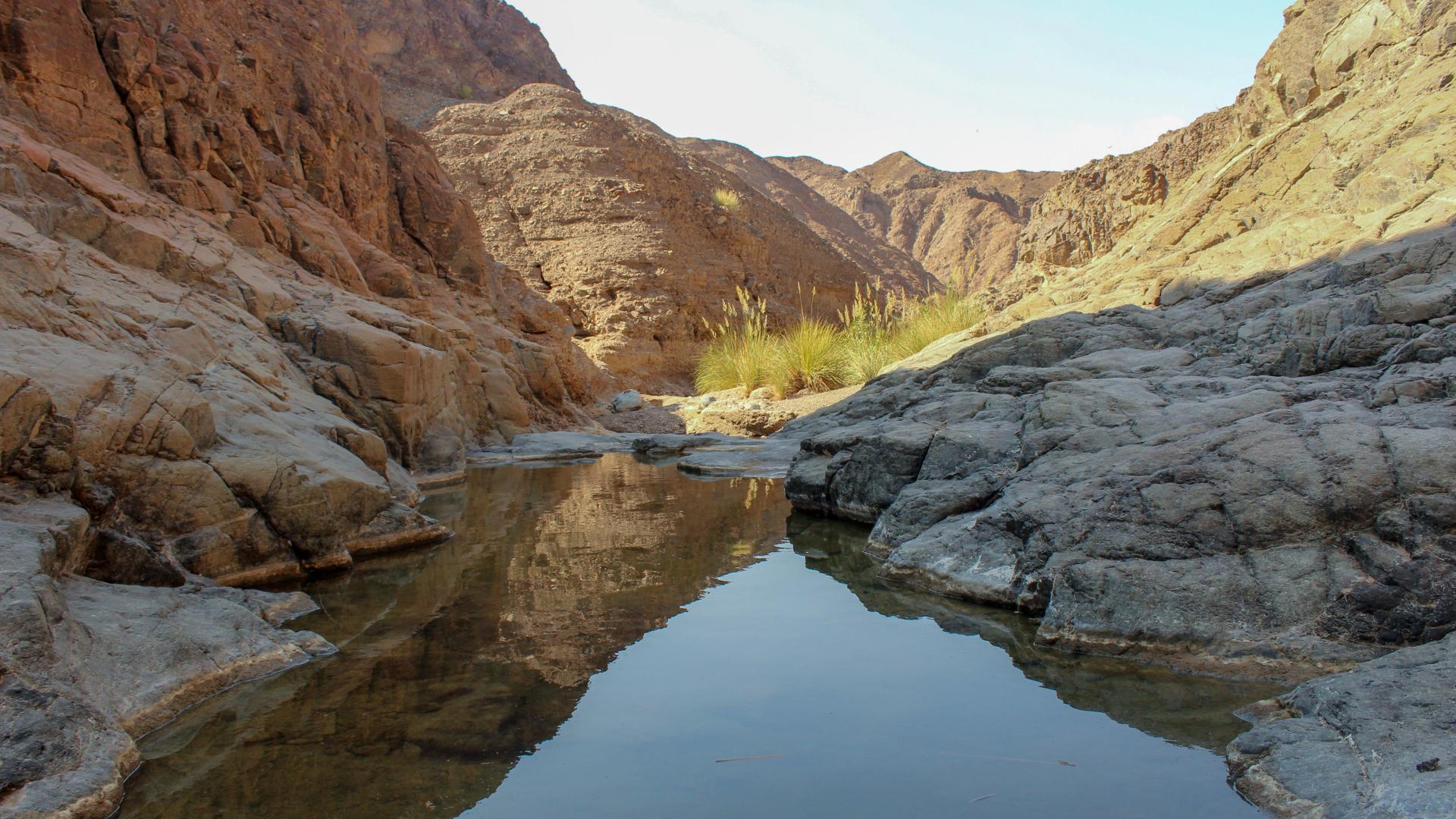 Fresh water conservation