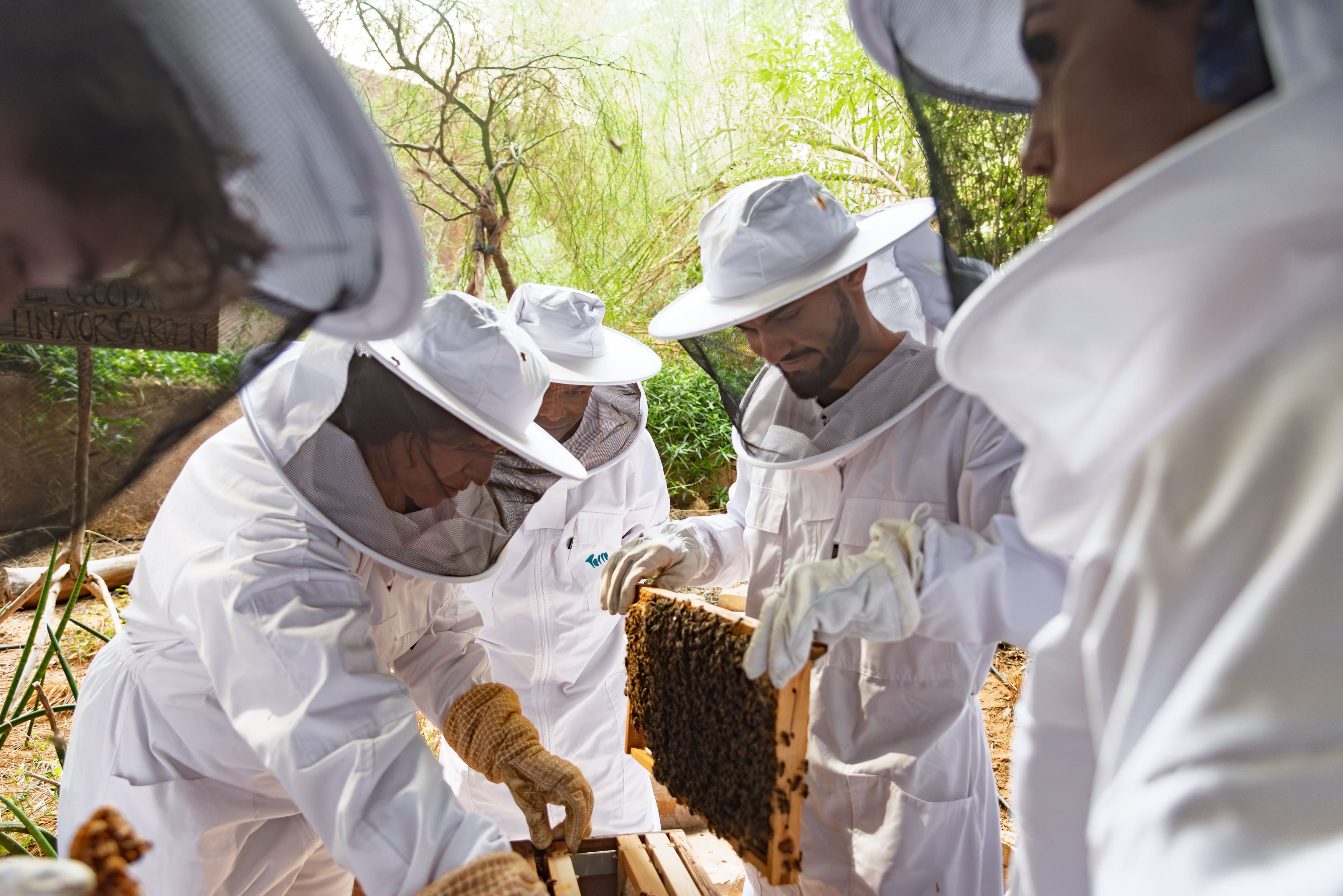 Join the Novice Beekeeping Course.