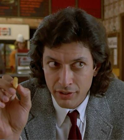 The Fly