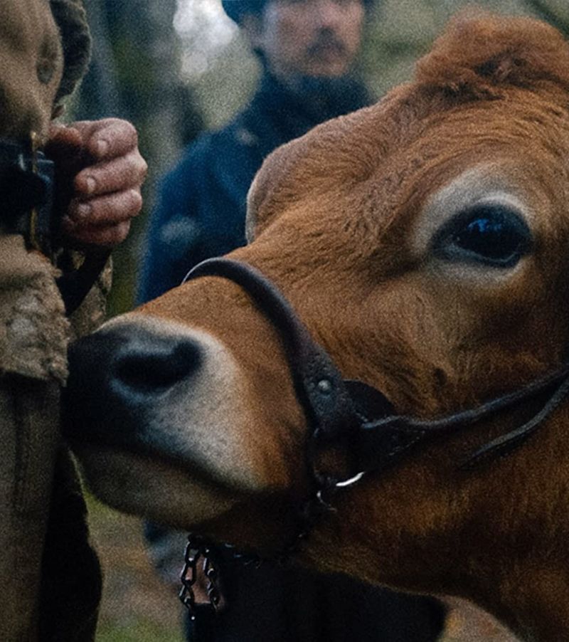 First Cow