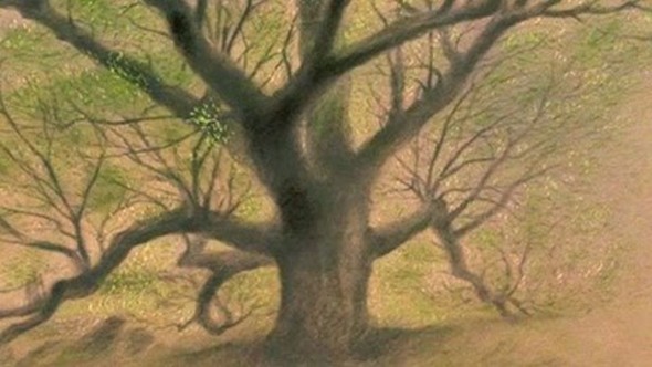 http://aple.tmsimg.com/assets/p3581692_i_h13_ab.jpg