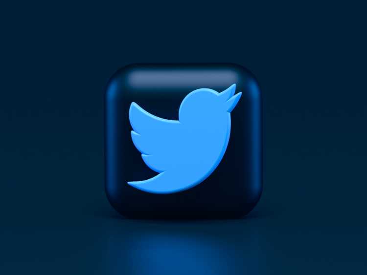 The Top 25 NFT Twitter Accounts To Follow In 2022