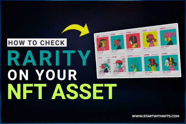 How to Check Rarity on Your NFT Asset using Rarity.Tools