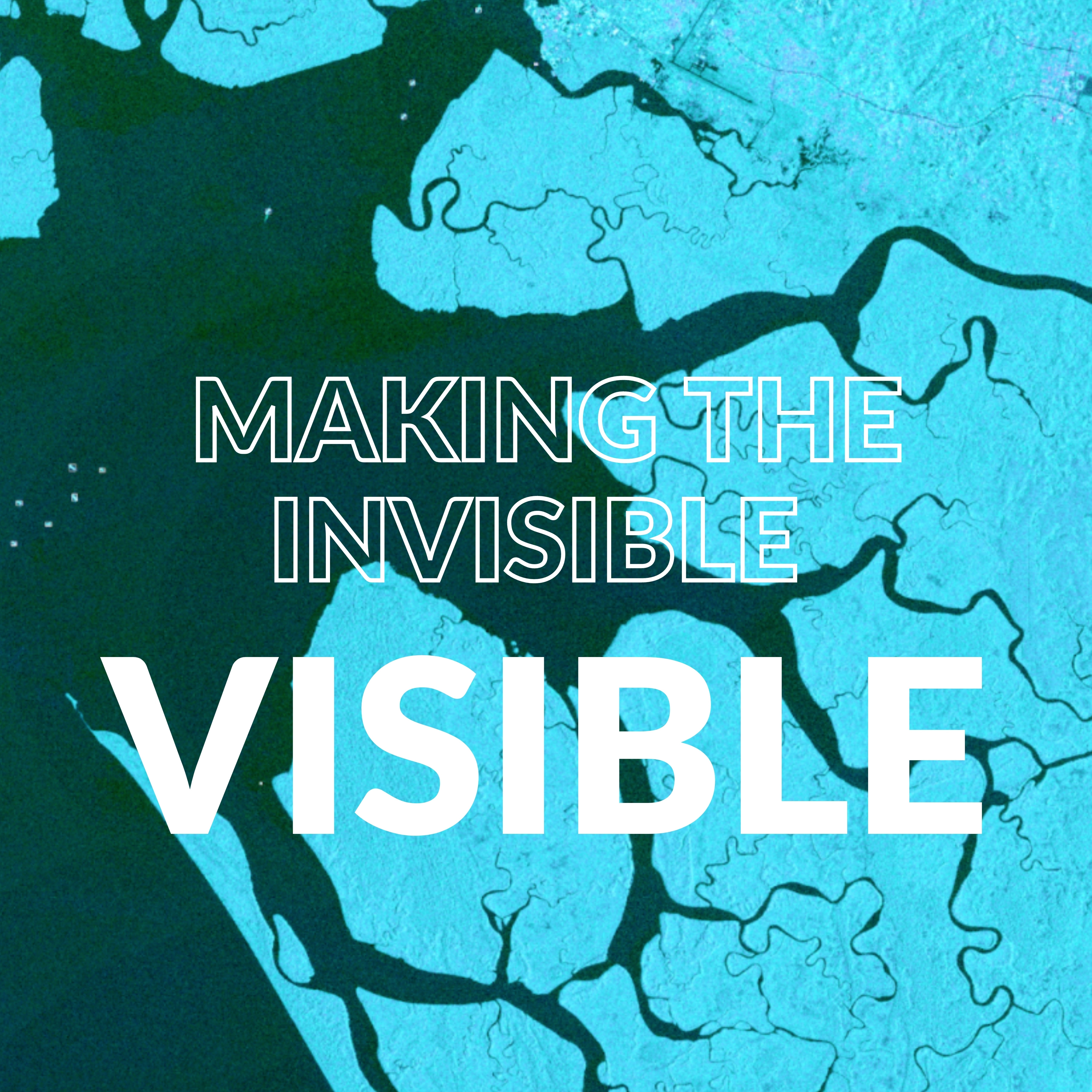 Making Invisible VISIBLE