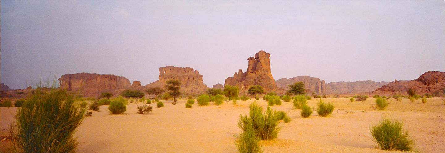 An arid landscape with flat sand dotted with green bushes and small trees in the foreground. In the distance and on the horizon are brown and rust-colored rock plateaus and formations, some extending thousand of feet high. The sky is a pale blue.