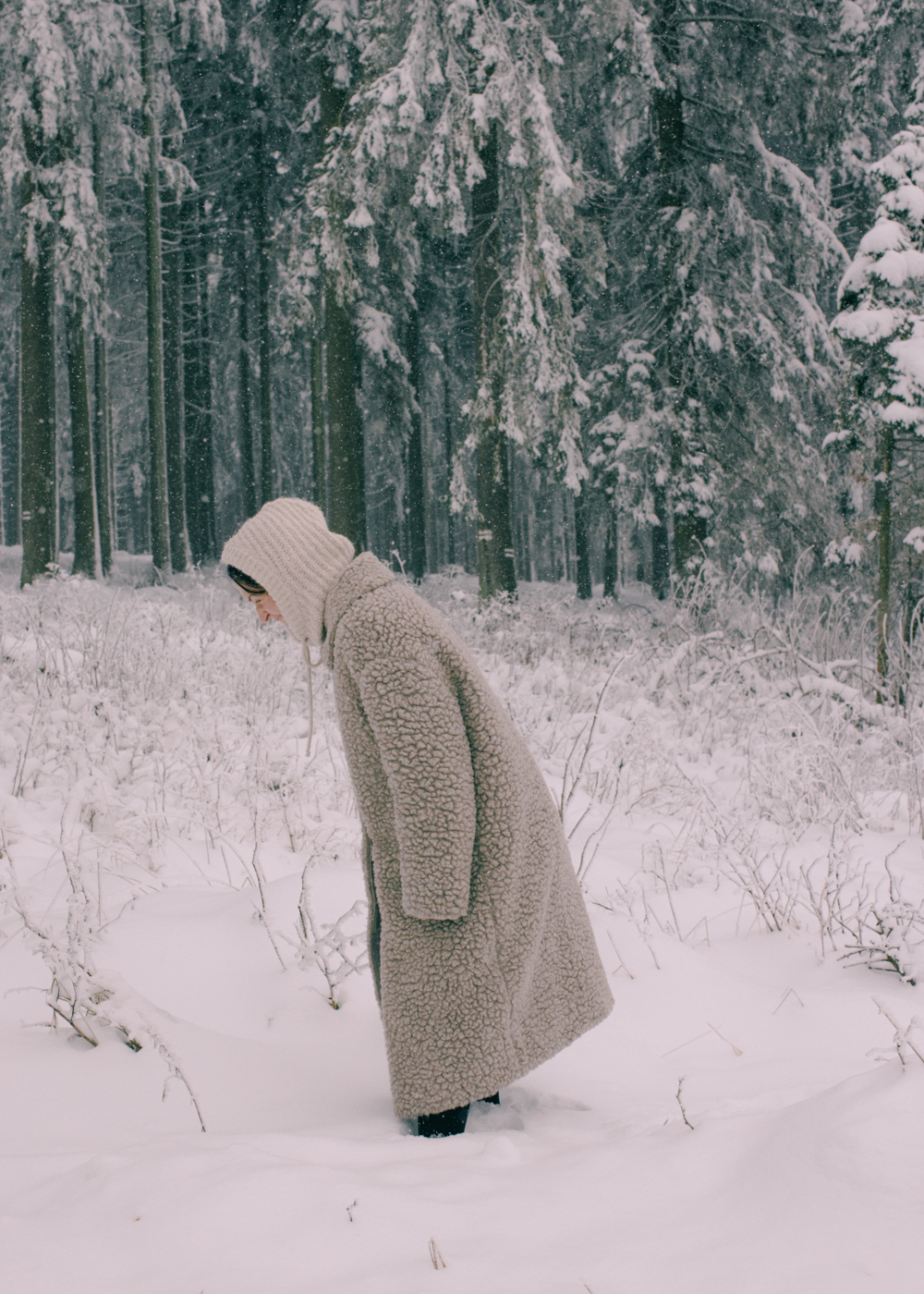 Evelyn Dragan Photography