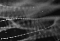 White sound waves against a black background