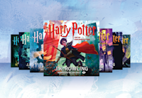 The covers for the seven Harry Potter titles are displayed in a array on a light blue background.
