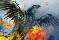 A colorful illustration of a phoenix rising from fire and ashes. Within the wings and head of the phoenix is a drawing of a woman spreading her arms in flight.