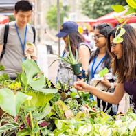 A few people shop for plants at a farmers market.