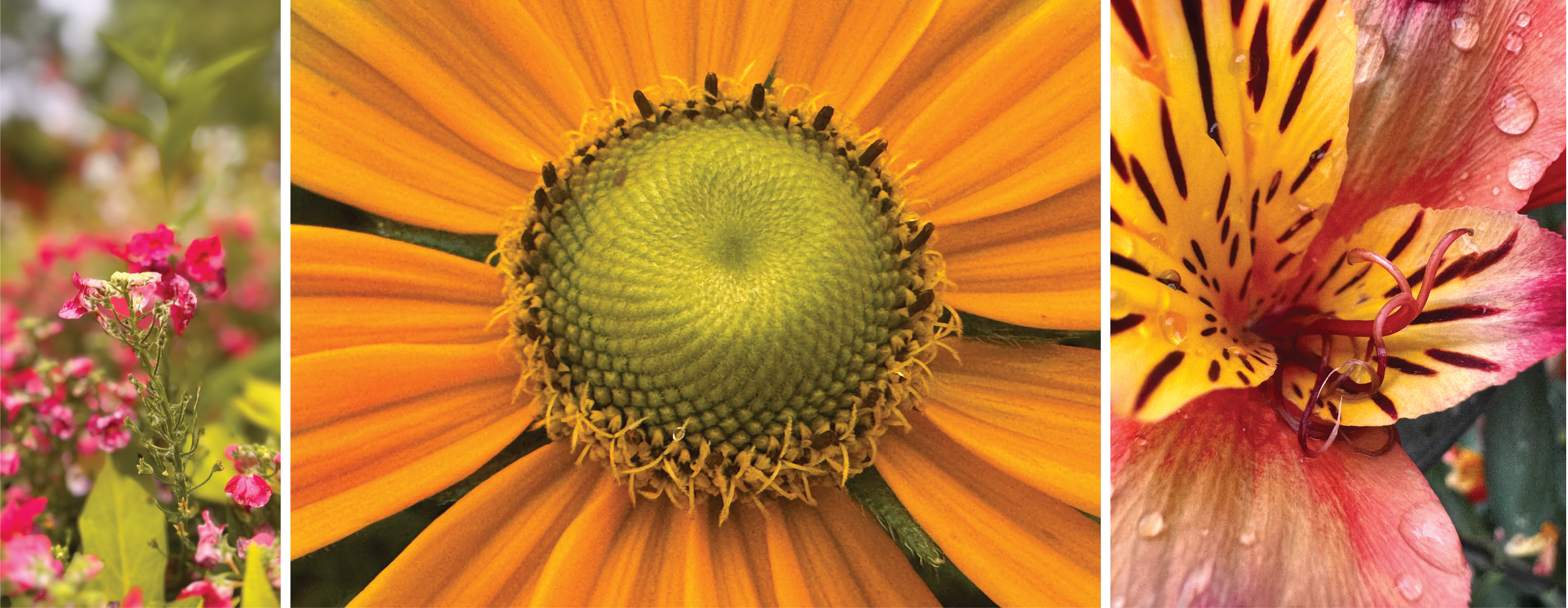 SAIF - PHOTOGRAPHY WORKSHOPS-11