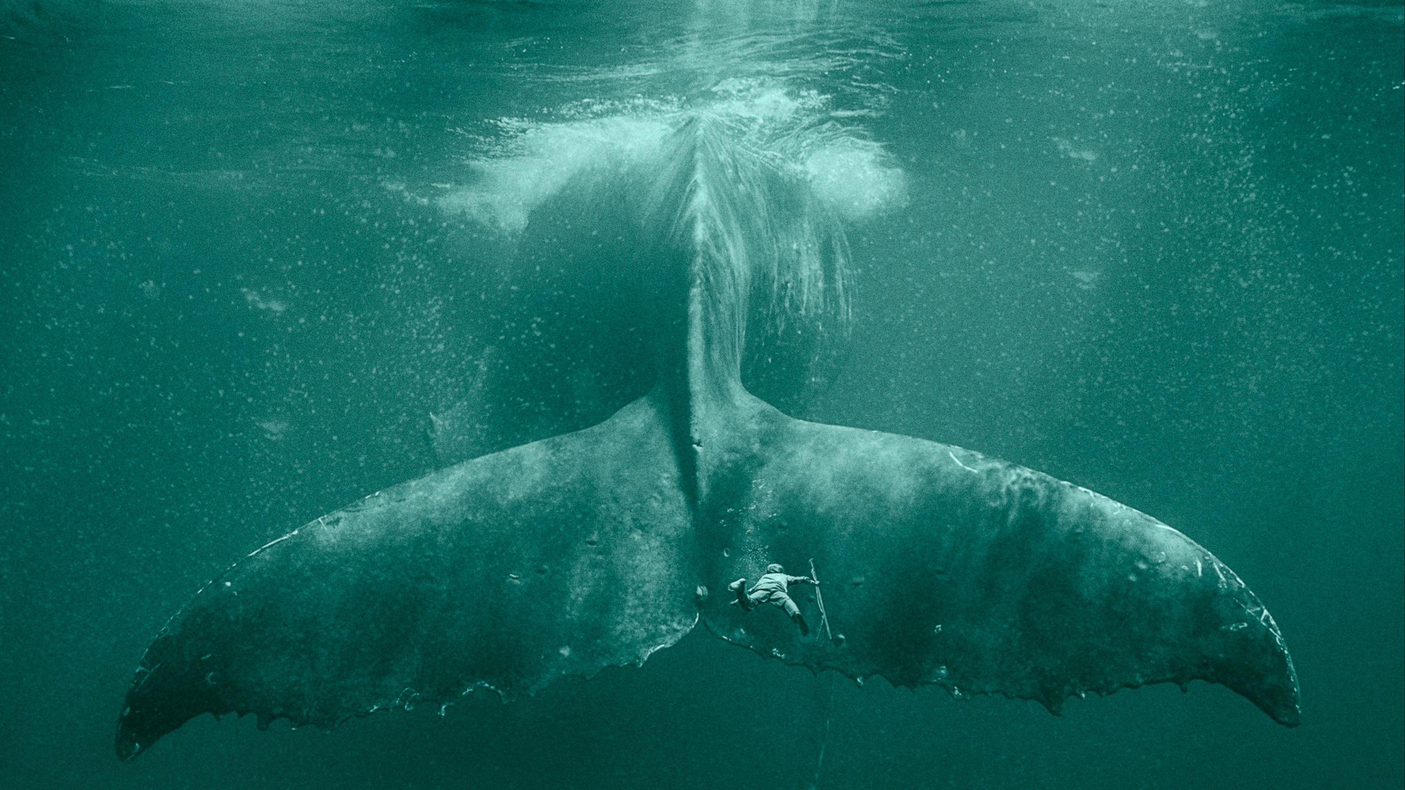 In The Heart Of The Sea - poster