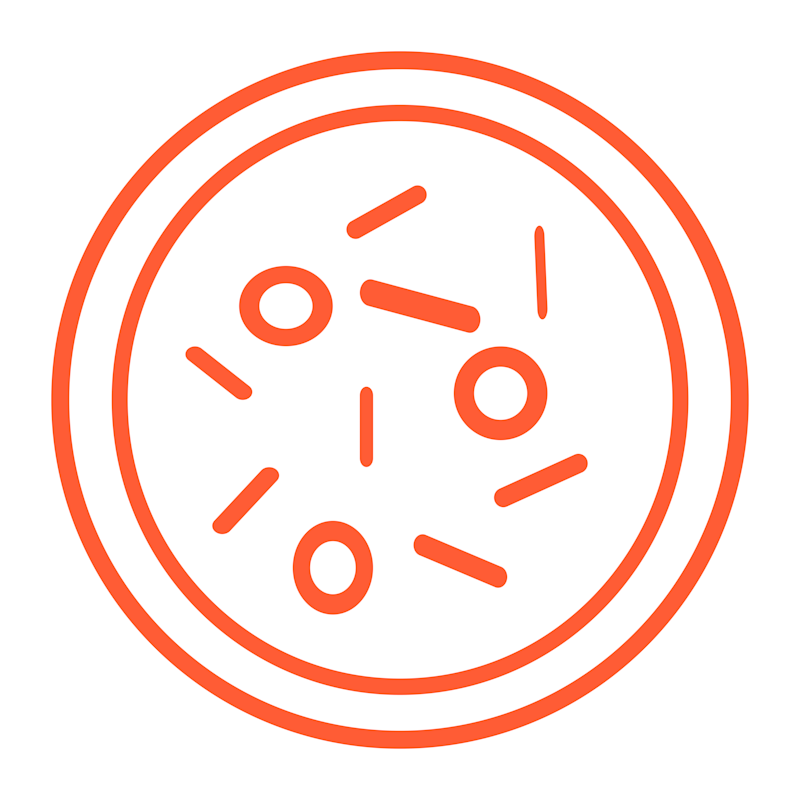 Contentful Image