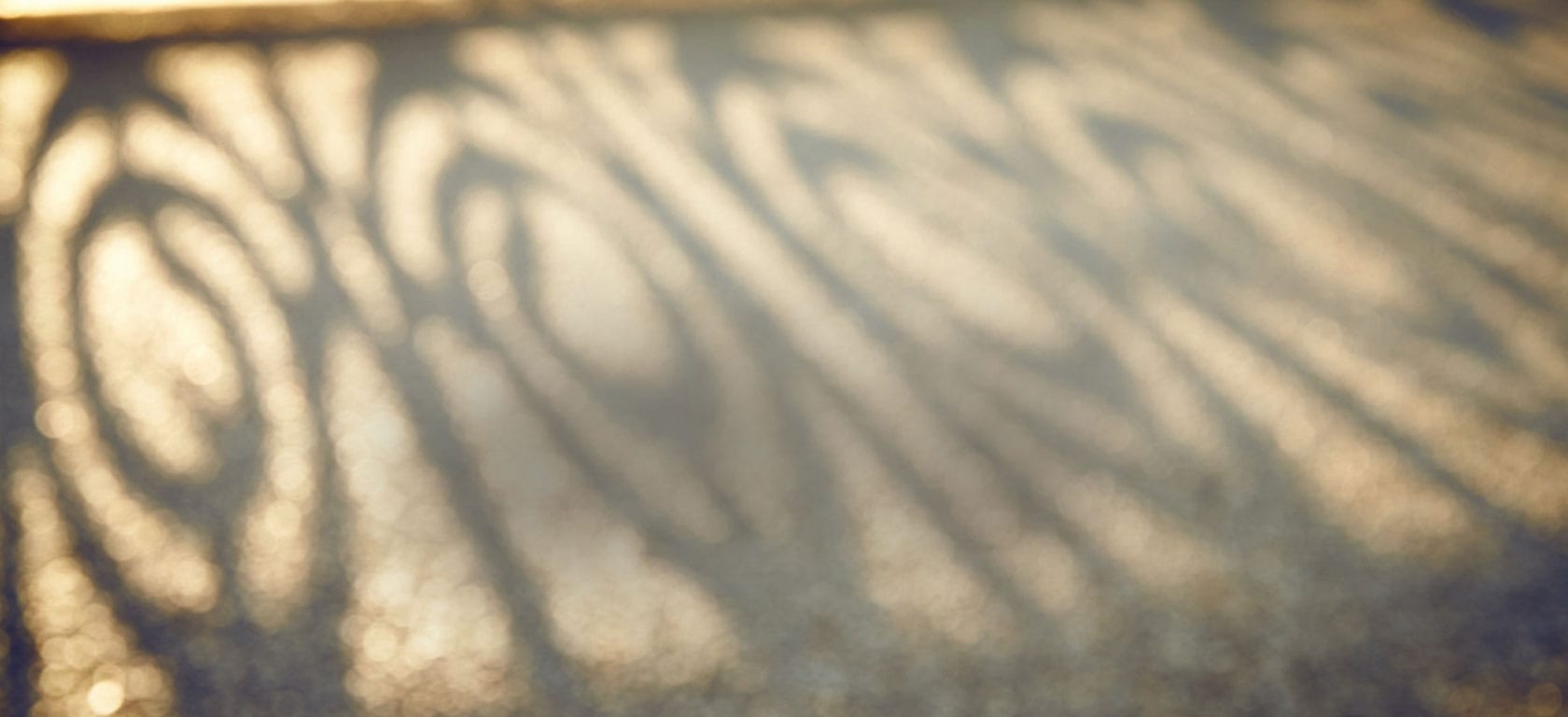 241-toorak-road-sya-feature-bg