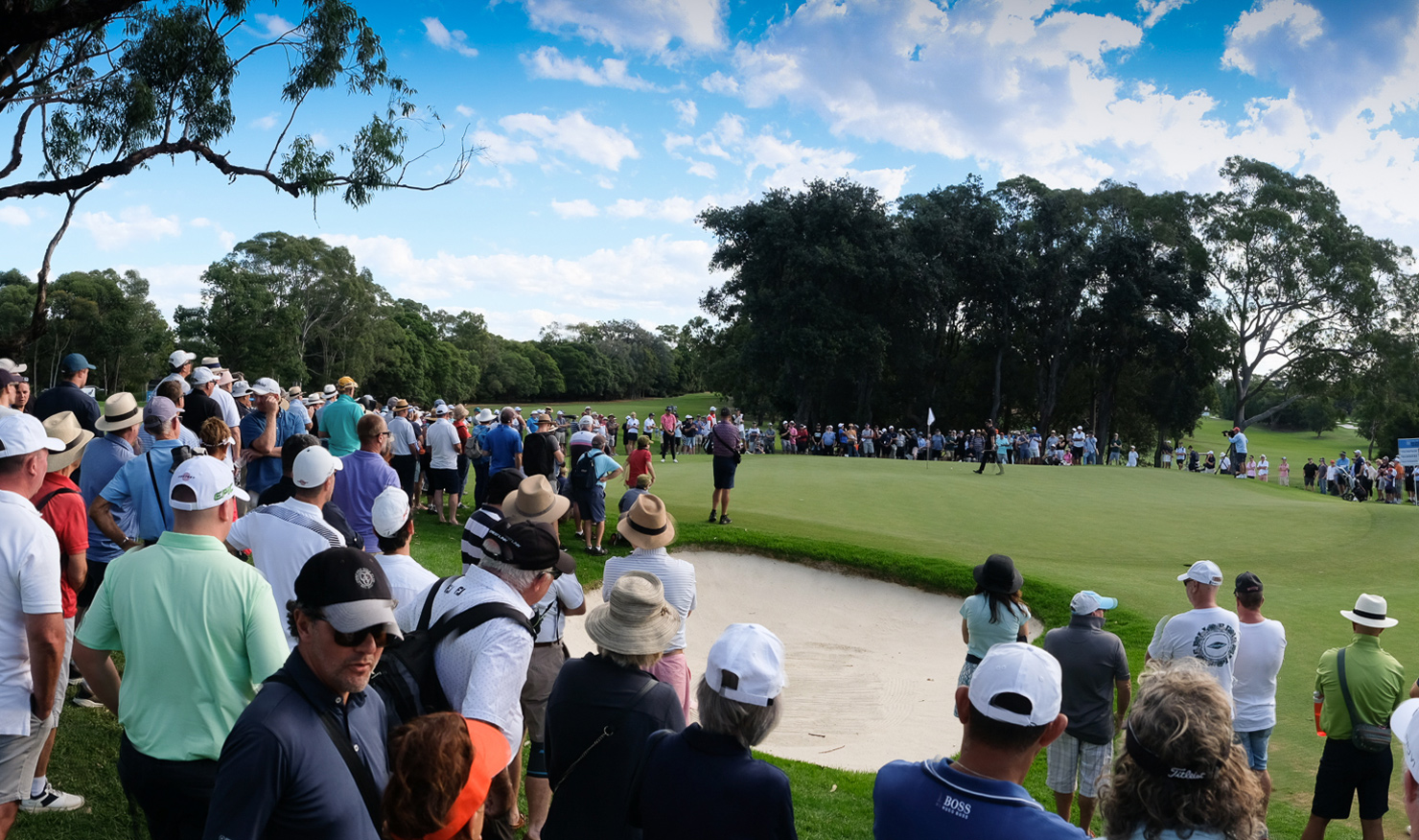Huge galleries flocked to Concord on Sunday, loving the open layout. Picture: DAVID TEASE