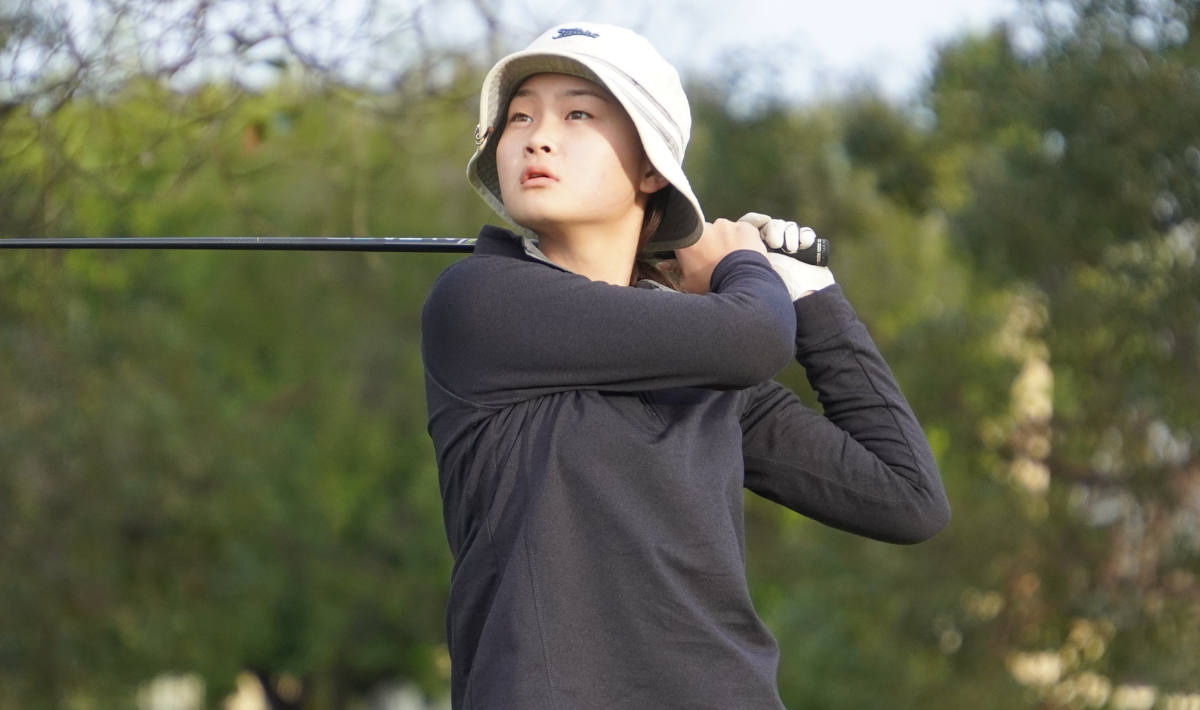 Meihui-Zhao_image