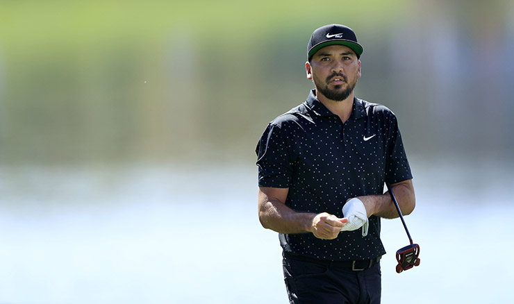 Jason Day glove image