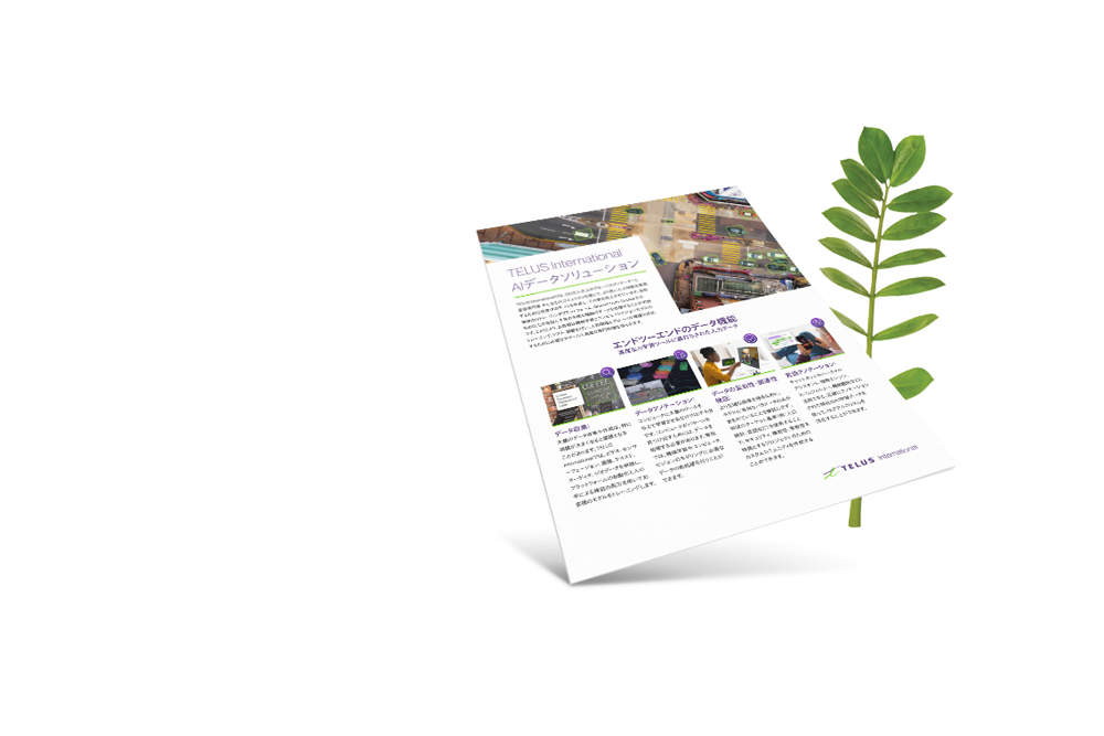 Preview of brochure