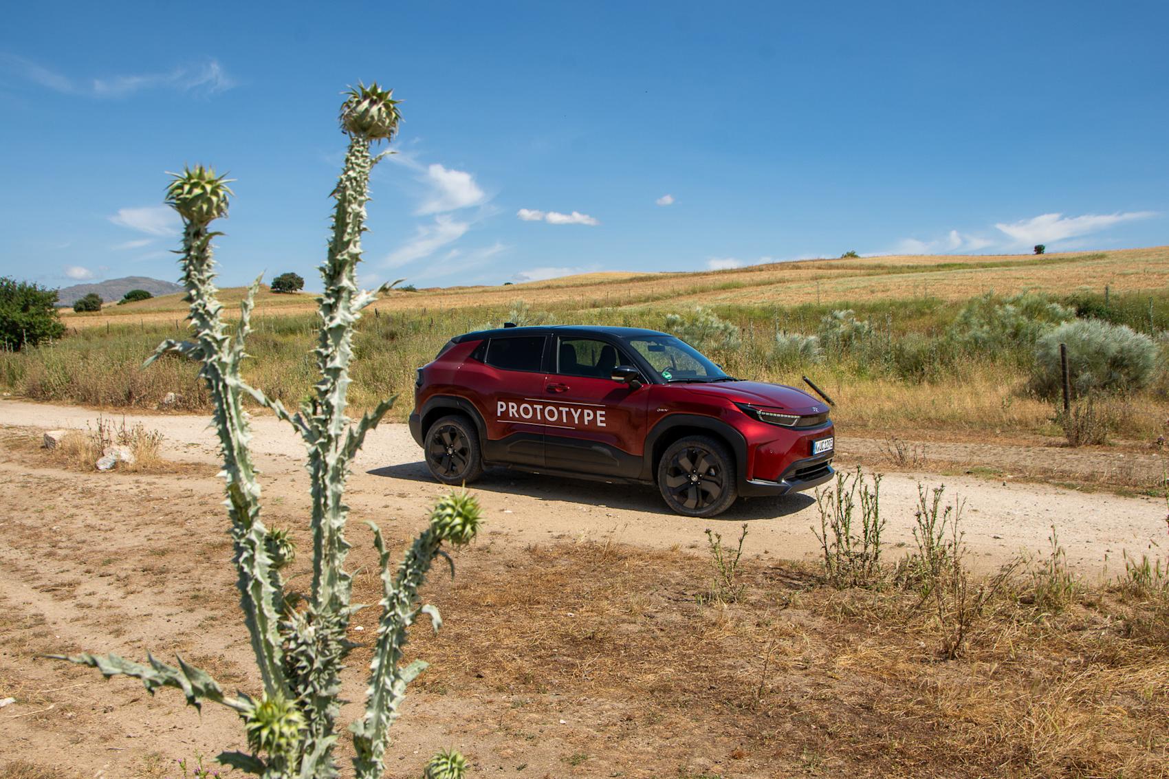 Foto: Ragnvald Johansen