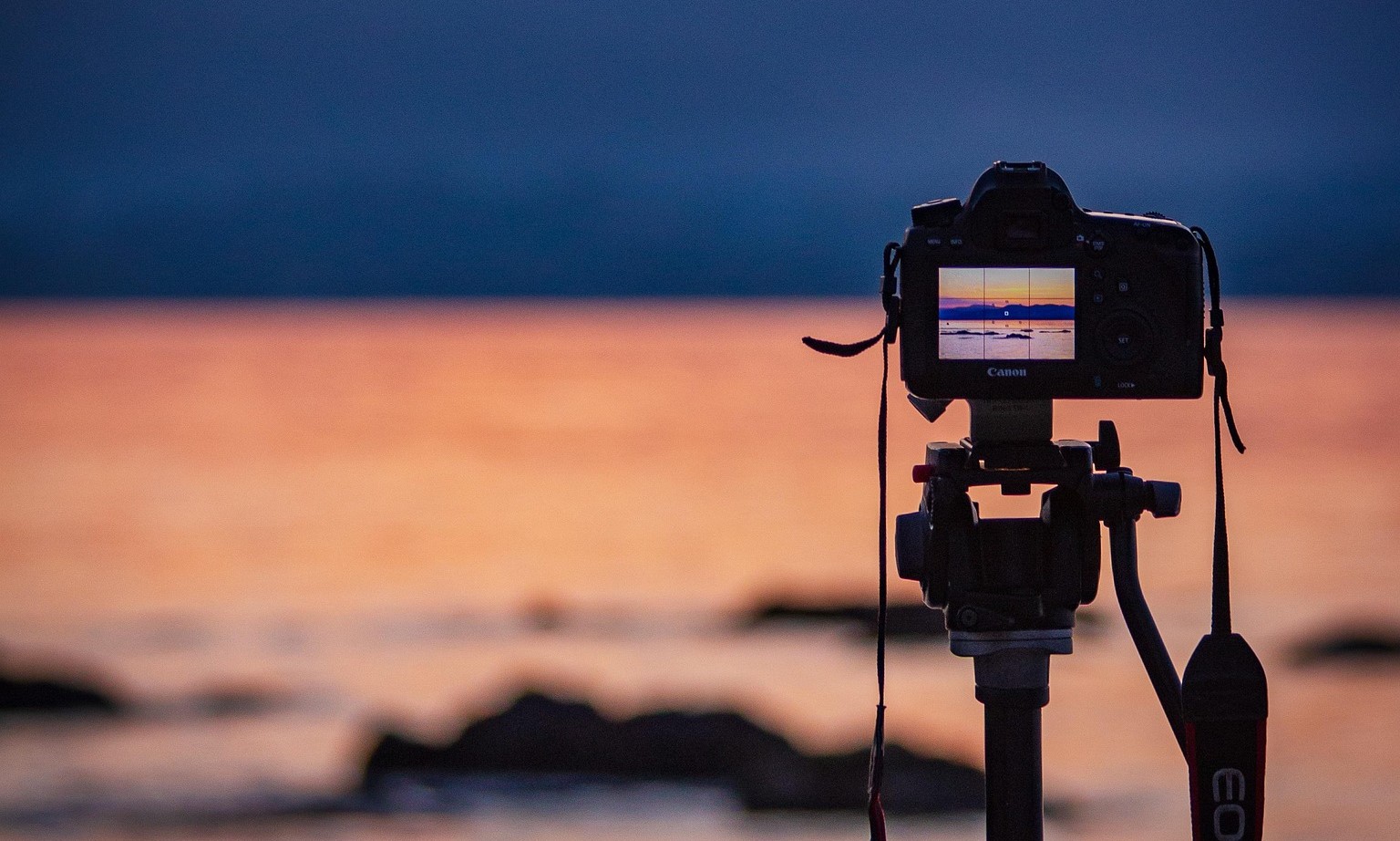 Photography Safari from Diani to Tsavo: 2025 Guide