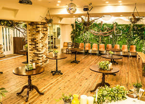 green_lounge_top_1