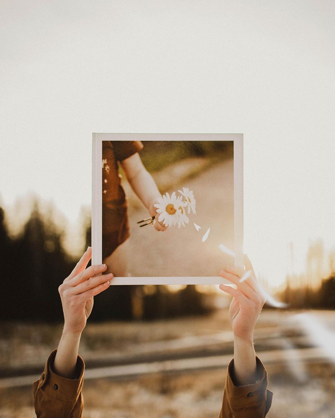 Visual Content Sourcing