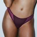 Sarda - pagehead - briefs