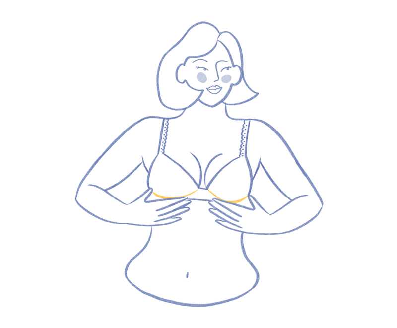 Img - perfectFit2 | Primadonna