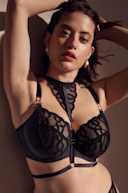 PD Lingerie Accessories | Primadonna