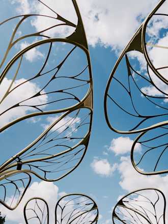 TML x SA SS26 - SKY BUTTERFLY