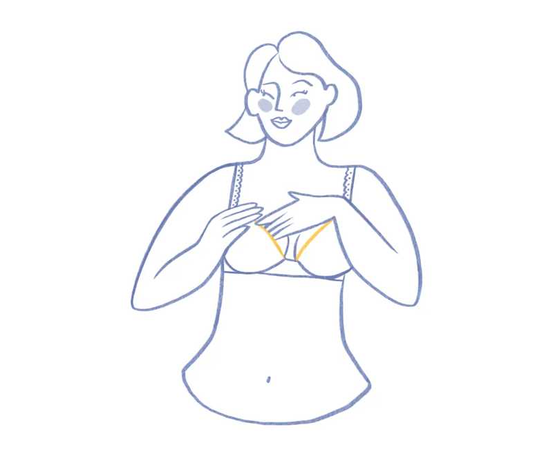 Img - perfectFit4 | Primadonna