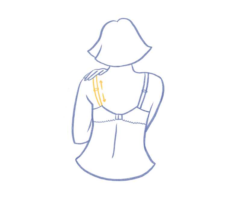 Img - perfectFit5 | Primadonna