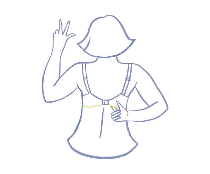 Img - perfectFit1 | Primadonna