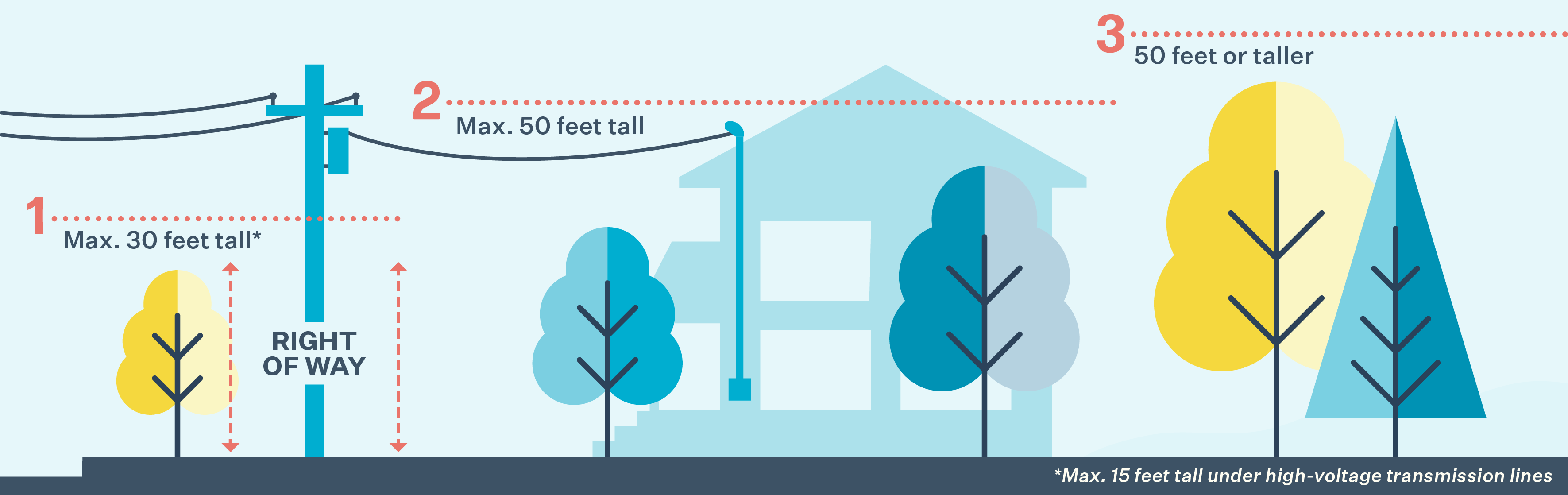 Tree Zone Illustration