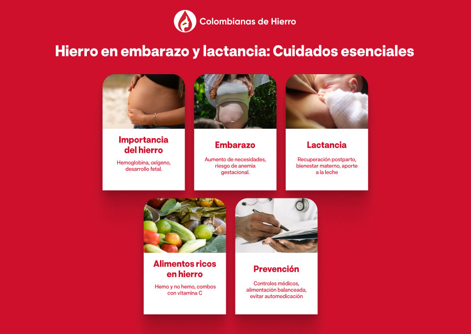 Hierro en embarazo y lactancia: Cuidados esenciales