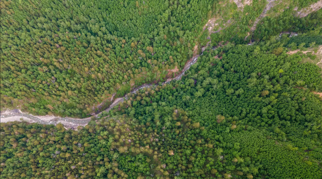 SUSTAINABILITY AND SOCIAL RESPONSIBILITY