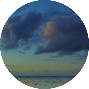 best mediums psychics