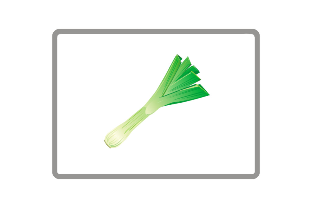Leek Leek