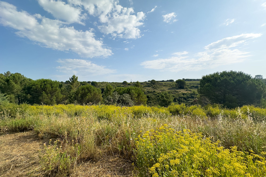 Maison de campagne Maison de campagne