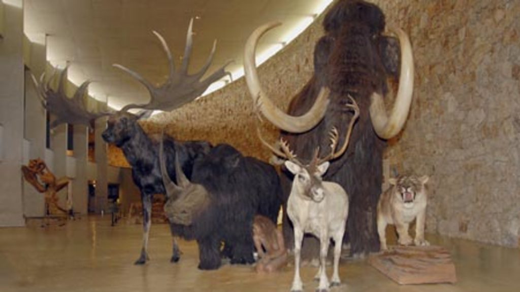 Prehistoric museum Prehistoric museum