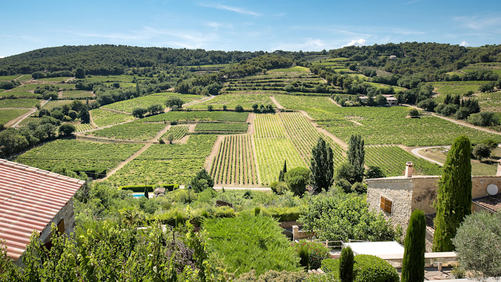 Provence Provence