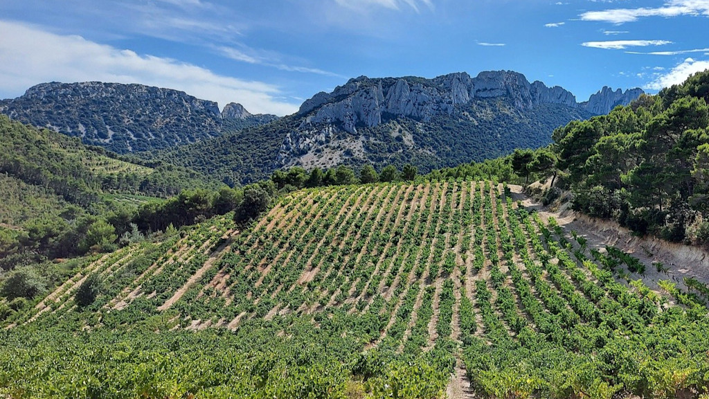 Dentelles de Montmirail Dentelles de Montmirail